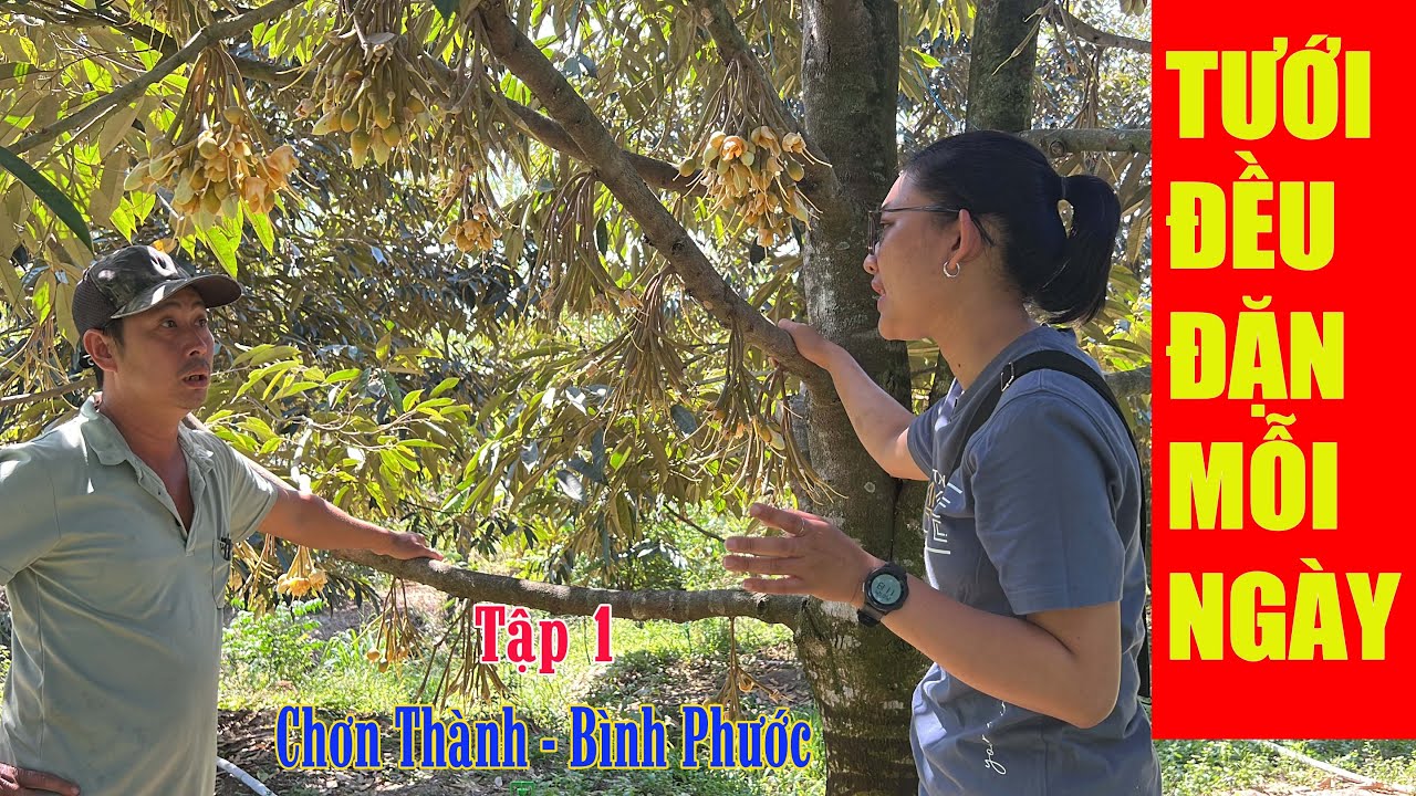 CHẾ ĐỘ NƯỚC TƯỚI TRONG GIAI ĐOẠN XỔ NHUỴ | VƯỜN ANH QUỐC - TẬP 1