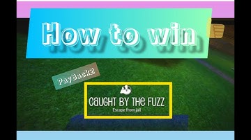 How to escape from jail (Caught by the fuzz) | Payback 2 | PayBack2 YT