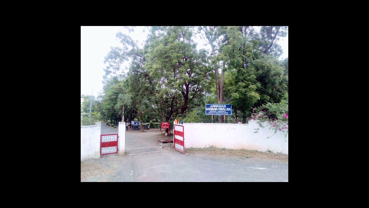 # Navodayans 😎🤟✨.... JAWAHAR NAVODAYA VIDYALAYA AMRAVATI....💯🤩🔥
