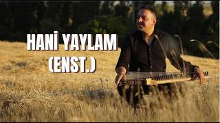 Turgay Coşkun - Hani Yaylam (Enstrümantal) - 2025