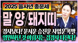 2025년 말띠 양띠 돼지띠 운세 몰아보기 경사났네! 올해 절실히 빌던 소원 이루어지는 대박나는 신년운세