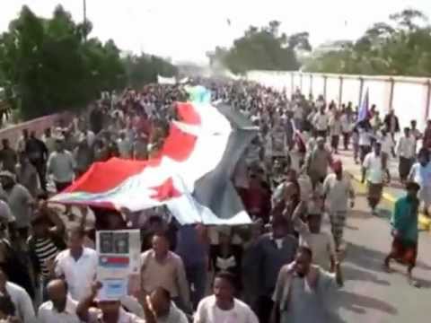 نوفمبر اليوم جانا ال45 فيصل علوي