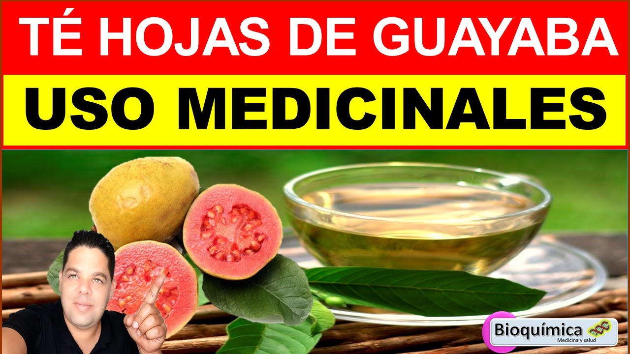 Usos Medicinales del Té de Hojas de Guayaba YouTube