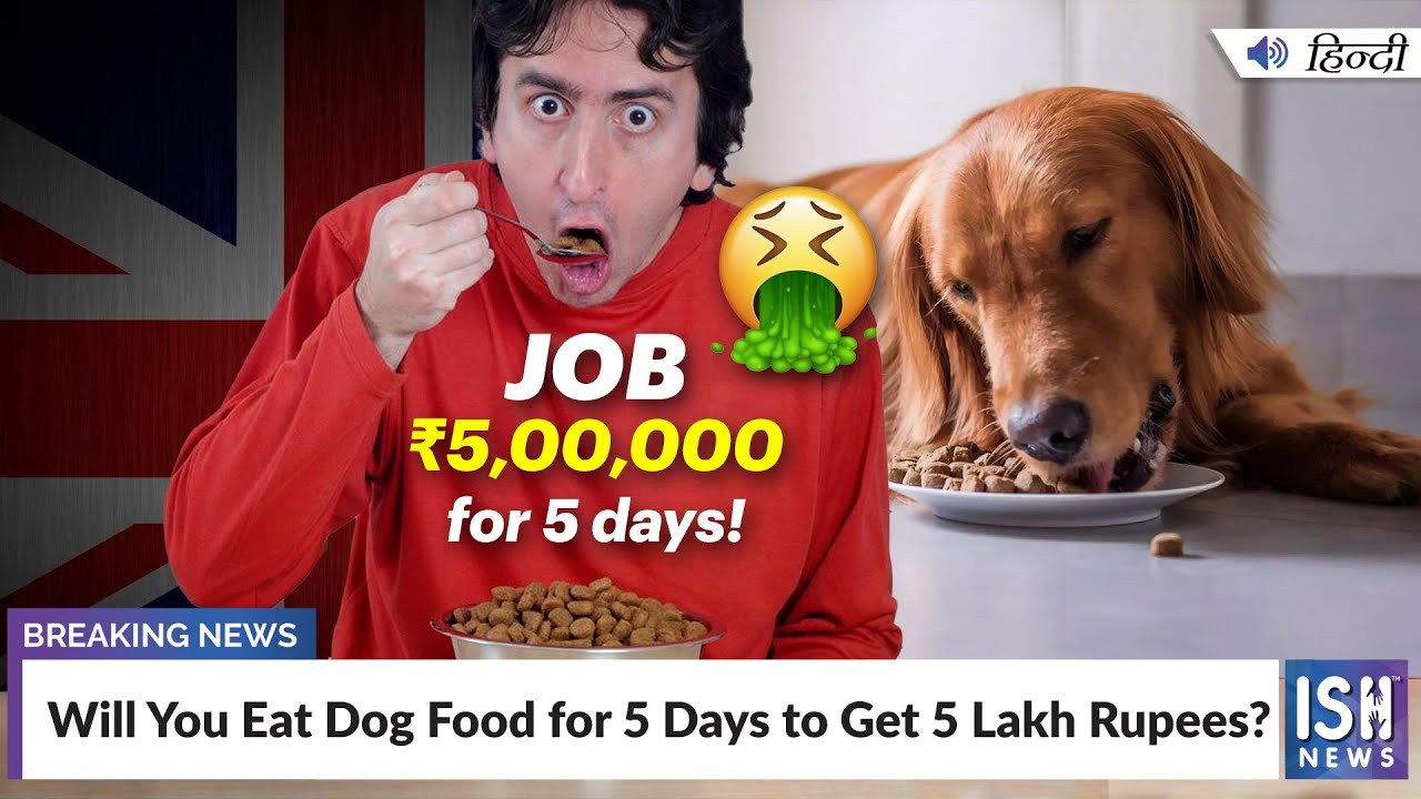 Will You Eat Dog Food for 5 Days to Get 5 Lakh Rupees? ISH News YouTube