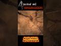Bitores Mendez Boss Fight No Damage Resident Evil 4 #residentevil #re4 #residentevil4