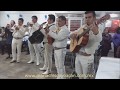 Mariachis CDMX  Cumbias (angeles azules - rayito colombiano)