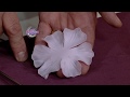 Jorge Rubicce - Bienvenidas TV en HD - Enseña a modelar una Rosa de fantasía con Porcelana Fría.