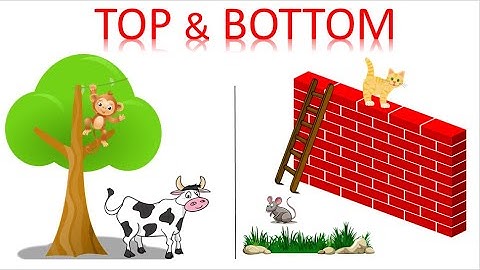 Pre Math Concepts/Pre Number Concepts/Pre Math for Kids/Math Concept/Educational Video/LoveToLearn