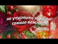 Добрый вечер!❤️ Желаю ВАМ приобрести лучшее, получить приятное, сохранить самое дорогое!!!