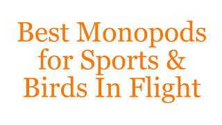 Best Monopods for Sports Photography and Birds In Flight (stills)
