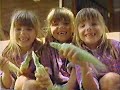 Beginning of video