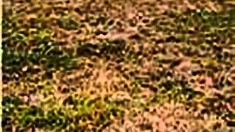Homes for Sale - Gourdneck Road Lt 7 Tullahoma TN ...