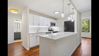 Beau Shirley|222 E Pearson Street, Unit 504|Chicago, IL