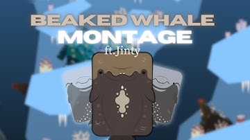 Beaked Whale Montage Ft.Jinty/ deeeep io