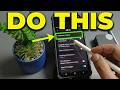 How to Stop Repeated Notification Alerts on Any Samsung Phone and Silence Duplicate Sounds