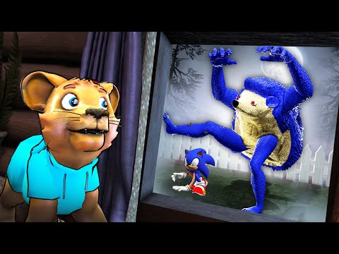 If You See SONIC Outside Your House, RUN AWAY FAST!! (Garry's Mod Sandbox)