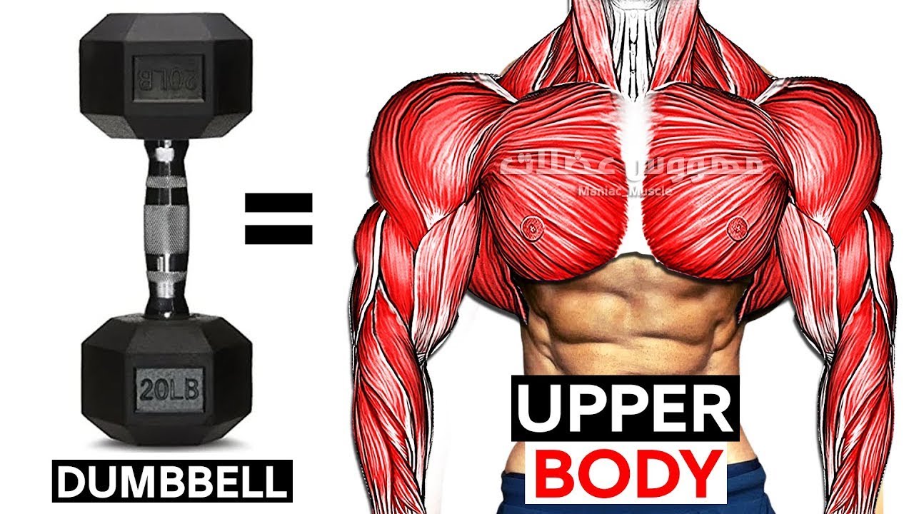 UPPER BODY WORKOUT WITH DUMBBELLS (Shoulder-forearms-chest-triceps-back ...