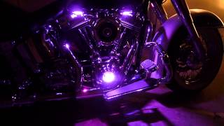 【Harley Davidson】 クリアキンLED  Kuryakyn
