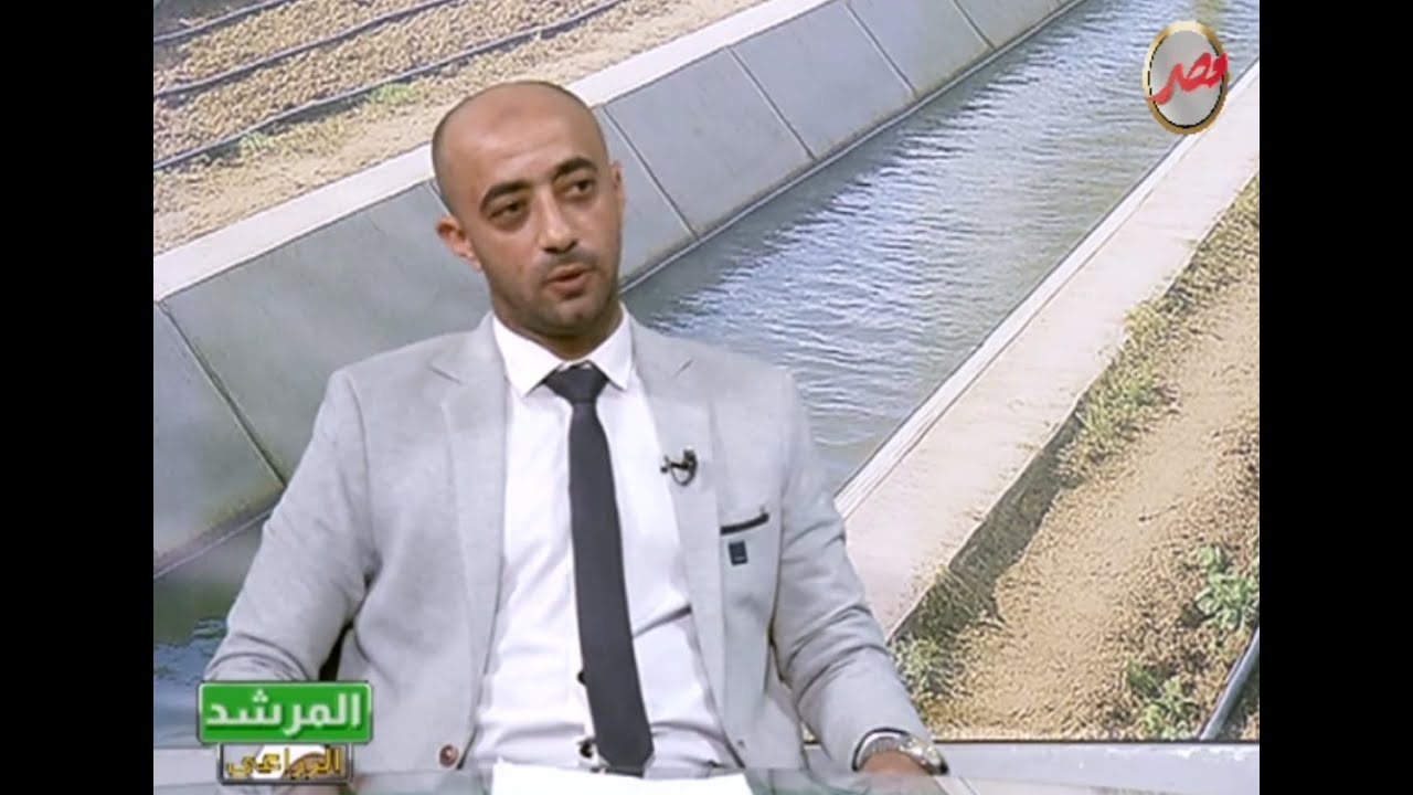 المرشد الزراعى تربية الأغنام والماعز فرصة ذهبية للمسثمر الصغير