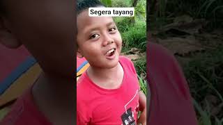 Gule umbut pisang hutan #jejakkelana #nature #masakdialam #cooking #makan #makandialam Gule umbut pisang hutan #jejakkelana #nature #masakdialam #cooking #makan #makandialam