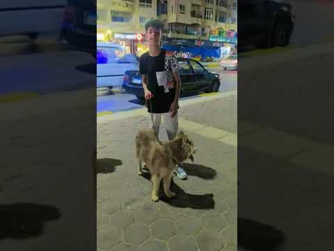 انا مخنوق من كل الدنيا