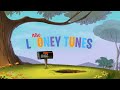 Thats all folks  a new looney tunes tribute