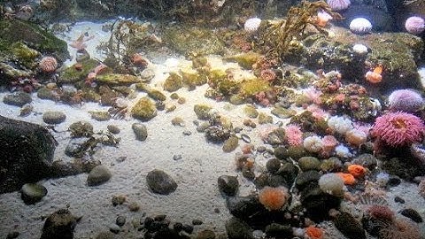 Rainerstoff RsHooK movie vs cheaters. ET TV