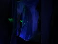 Walking through a Haunted House at #Landmark #Scotland