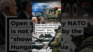 Open secret: why NATO is not surprised by the “showers” from Hungary to Russia