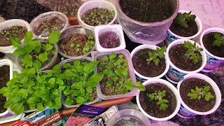 :   25     .     2025 .