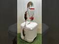 Best home mouse trap/mouse trap tips from plastic bottle #rat #rattrap #mousetrap