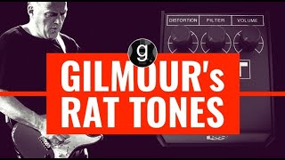 David Gilmour's Rat tones  Overdrive, distortion and fuzz in ONE pedal!