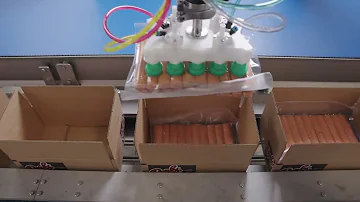 Sanitary Case Packer for Hot Dogs | JLS Automation