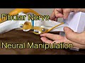 How to do neural manipulation for fibular nerve (English)
