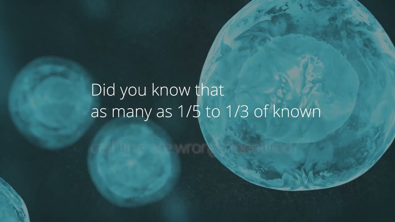 Stem cell scientists: why you should consider cell line authentication as part of your workflow.