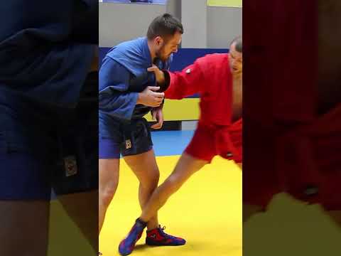 Видео: ACHILLES from stand up position. Sila partera. Sambo academy #bjj #sambo #Shorts