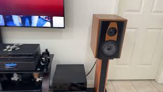 Digital Designs LSS-161 Product Review