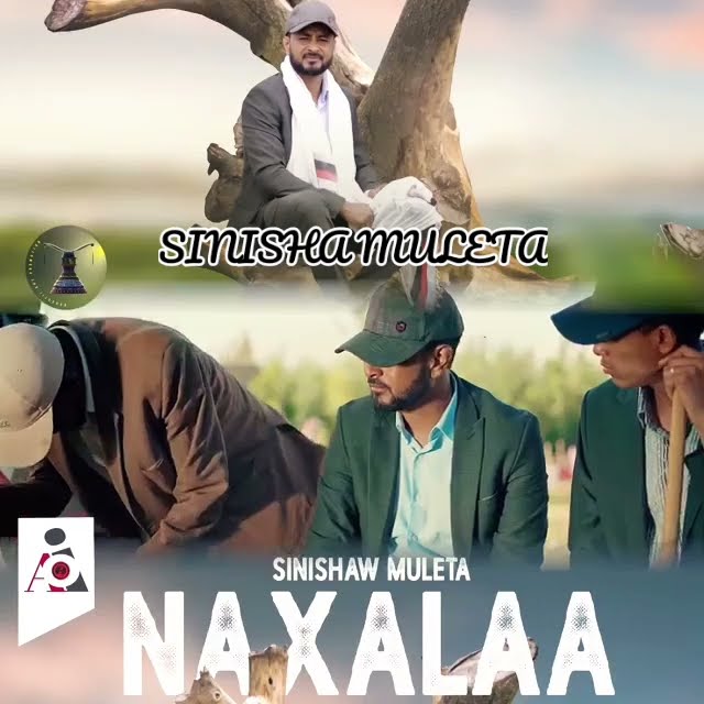 SINISHAW MUL,ATA Naxaalan kee shaama dhoksee sijaala