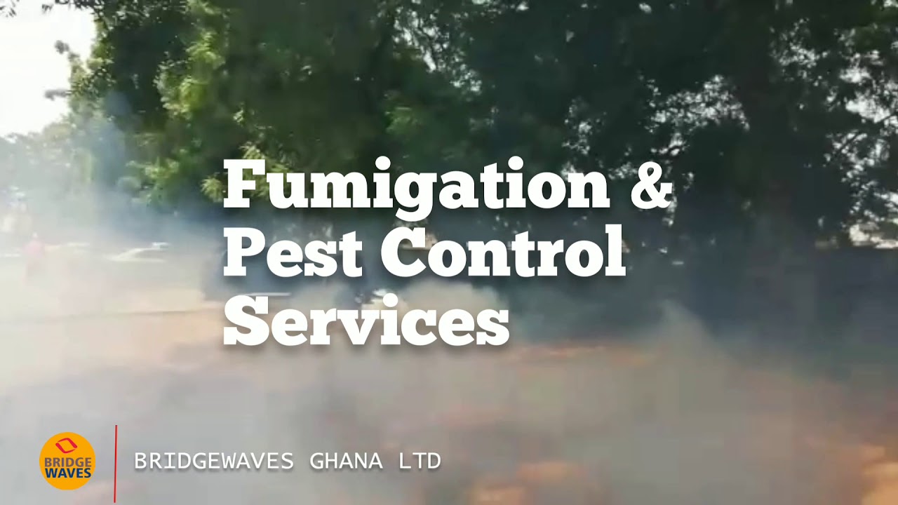 Smoke fumigation