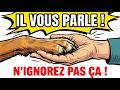 10 façons dont votre chien essaie de communiquer avec vous (n'ignorez plus ce signal)