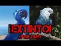 AVE DE LA PELÍCULA RIO EXTINTA! ¿POR QUÉ?