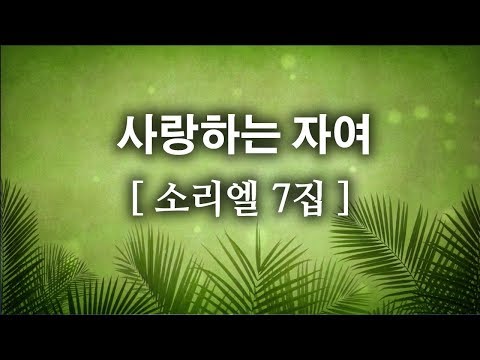 [CCM]사랑하는 자여 - 소리엘 7집