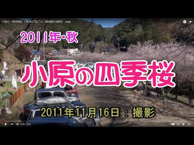 小原の 四季桜 と紅葉が見ごろ 愛知県小原町 Mpg Youtube 小原の 四季桜 と紅葉が見ごろ 愛知県小原町 Mpg Youtube