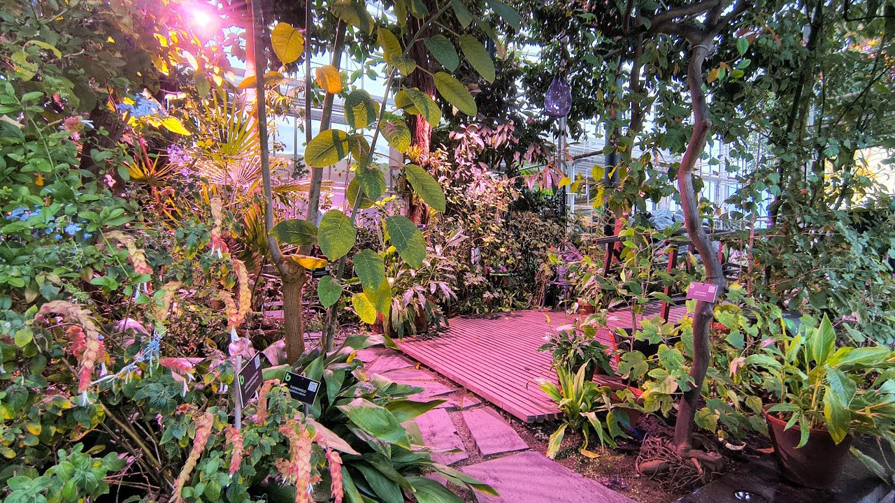 Botania Joensuu esittely kuiskattuna (kasvitieteellinen puutarha) / ASMR Suomi 