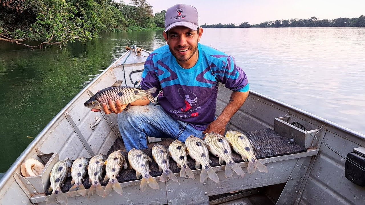 APRENDA A PESCAR ASSIM E NÃO VOLTE SEM PEIXE DA PESCARIA /PESCARIA DE PIAU 3 PINTAS NA PINGADINHA.