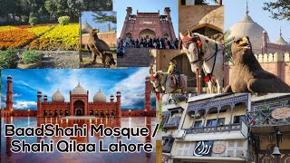 Baadshahi Mosque Shahi Qilaa A Cheerful Evening In Lahore