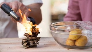 How to Cook a Twinkie w/ a Flaming Pine Cone | Kitchen Lab