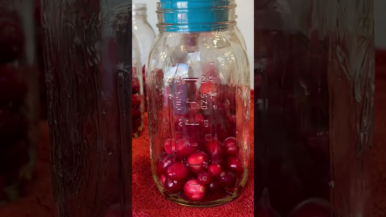 How to make cranberry juice at home. #homesteading #canning #foodpreservation #homestead #recipe