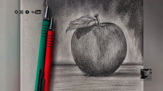 How to Draw An Apple in Pencil | step by step how to use pencil strokes @ash.artstudio