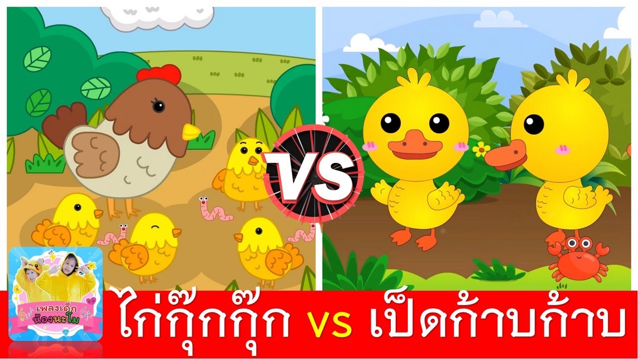 ไก่กุ๊กกุ๊ก vs เป็ดก้าบก้าบ